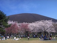 大室山さくらの里